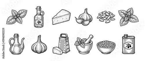 Pesto sauce ingredients and kitchen utensils set in a vintage engraving style, including basil, pine nuts, garlic, cheese, olive oil, mortar, pestle, and grater illustration