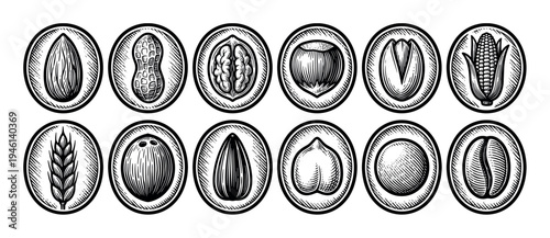 Collection of twelve black and white icons featuring various nuts, seeds, and grains in a detailed, hand-drawn engraving style for agricultural or food-related designs