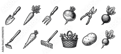 Gardening tools and fresh vegetables collection in a vintage black and white engraving style, featuring a trowel, rake, carrot, beet, potato, and a wicker basket of produce