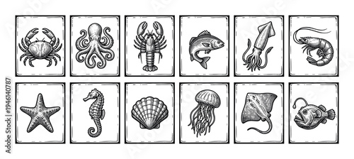 Vintage collection of twelve sea creature illustrations in a black and white engraving style, showing marine life like crab, octopus, lobster, fish, squid, and seahorse on cards