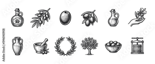 Collection of black and white olive icons in a vintage engraving style shows the full production cycle from tree and branch to fruit, oil, press, bottle, and wreath