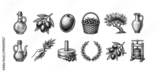 Set of vintage olive production illustrations in a classic black and white engraving style, featuring an olive tree, branch, fruit, oil bottle, press, basket, and wreath