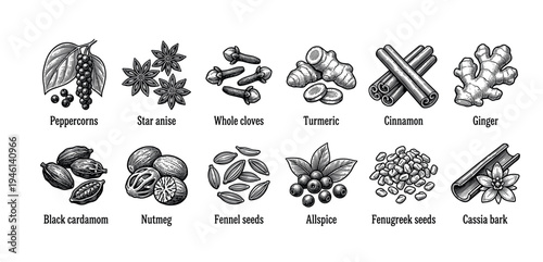 Collection of twelve different spices and herbs in a detailed black and white vintage engraving style, featuring cinnamon, ginger, peppercorn, star anise, cloves, and turmeric