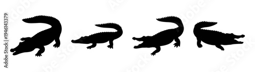 Discover amazing alligator silhouette vector art for your next design project and creative needs now