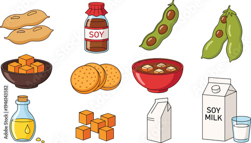 Vector illustration set of soy products including soy milk carton, tofu cubes, soybeans in pods, soy sauce bottle, and miso soup isolated on white.