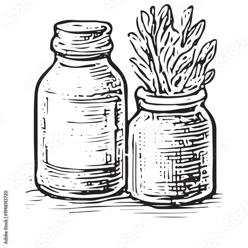 Vintage Herbal Storage Jars With Medicinal Plant Illustration Natural Remedy Containers
