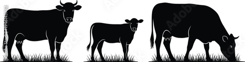 Cow Silhouette Collection Featuring Adult Cattle And Calf Grazing In Grass Field Isolated On White Background For Farm Agriculture Livestock And Dairy Design