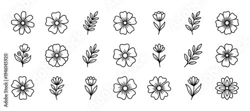 Hand-drawn collection of minimalist floral elements including flowers, buds, leaves, and branches in a simple black line art style for elegant botanical decoration and design
