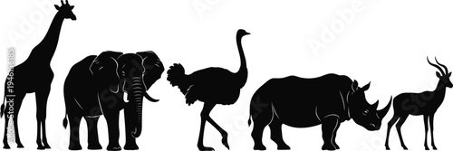 Black silhouettes of African wildlife animals, giraffe, elephant, ostrich, rhinoceros, antelope, side profile view, diverse fauna vector illustration artwork