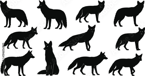 Black silhouettes of foxes in multiple poses, standing, sitting, walking, tail variations, animal posture study, wildlife vector illustration artwork design