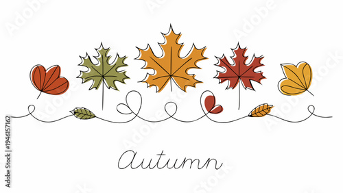 A simple colorful illustration of autumn leaves on delicate lines