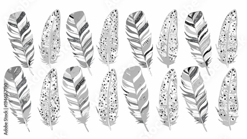 Collection of detailed grayscale feathers arranged on a white background