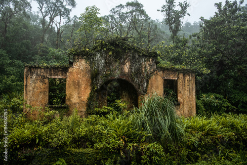 Fotografie Abandoned Ruins Overtaken by Jungle in Serra do Mar, Paraná, Brazil