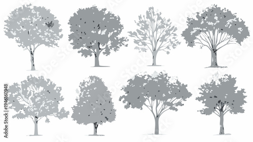 A collection of grayscale trees with varied foliage and trunk styles