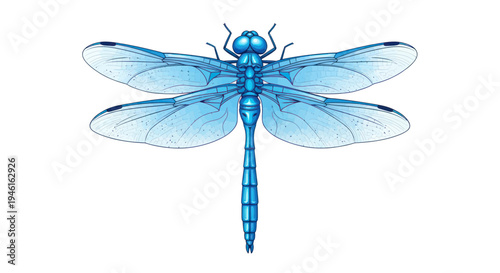 Vibrant Blue Dragonfly Illustration Isolated on White Background