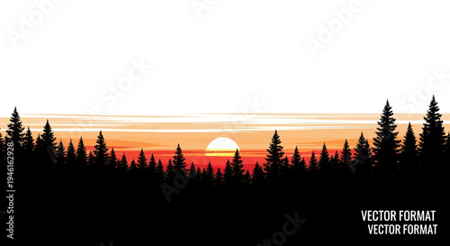 Vibrant Sunset Over Silhouette Evergreen Forest Horizon