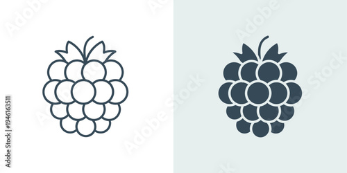 Raspberry icon in solid and line style vector