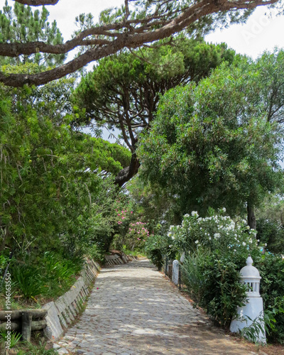 Wooded footpath on a Mediterranean island. Large trees shelter walkers from the sun as they walk.
