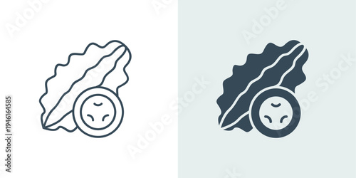 Bitter melon icon vector in line and solid style