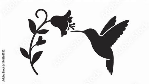 Hummingbird and Flower Silhouette Illustration