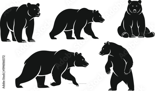 Grizzly and black bear silhouette collection set with various poses including walking standing and sitting isolated on white background vector illustration for outdoor nature logo design