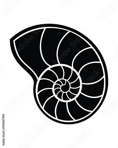 Outline nautilus shell vector silhouette