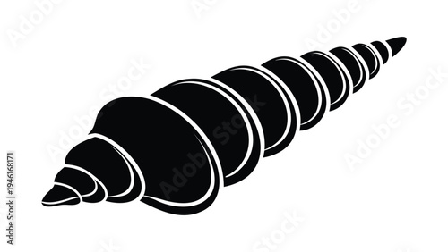 Long seashell vector illustration silhouette