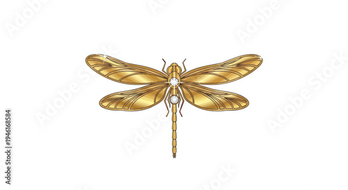 Golden Dragonfly Insect Art