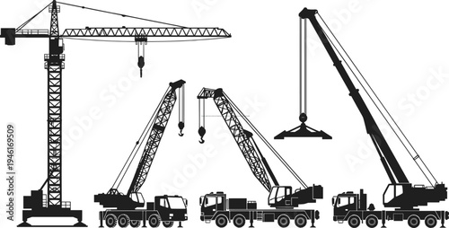 Detailed vector illustration set of fresh garlic bulbs and cloves with purple husks on white background for culinary cooking and healthy organic food