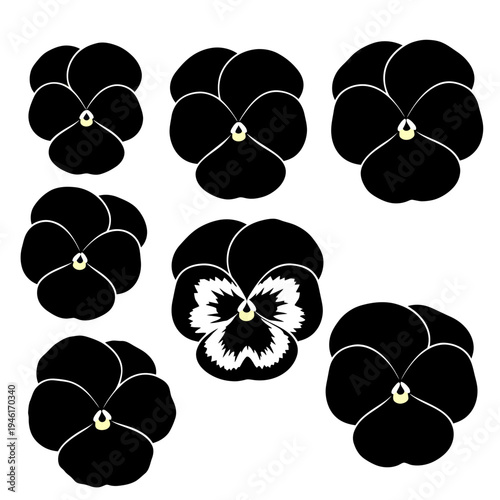 Set of Black Pansy Flowers Icon, Isolated on White Background, Vector Art