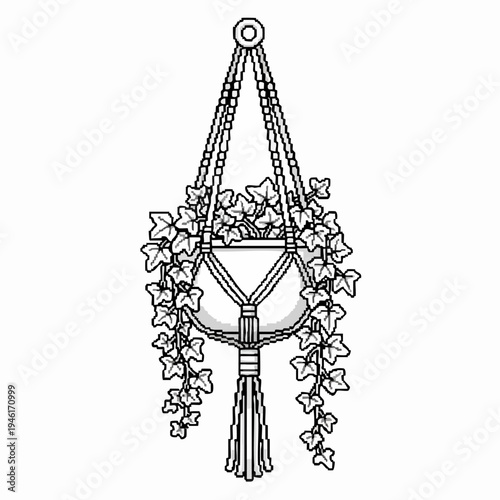 Hand-drawn illustration of a macrame plant hanger with ivy.