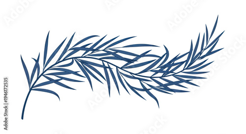 Blue Willow Branch with Delicate Leaves on White Background