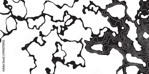 Abstract Black And White Topographic Contour Pattern With Organic Ink-Like Shapes And High Contrast.