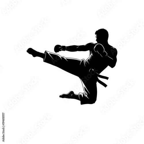 Silhouette of a male martial artist in a kicking stance