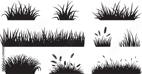 Collection of diverse grass and wheat silhouettes ideal for natural landscape designs