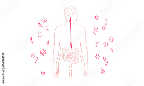 Gut Brain Connection