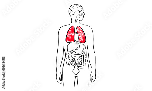 Lung disease concept