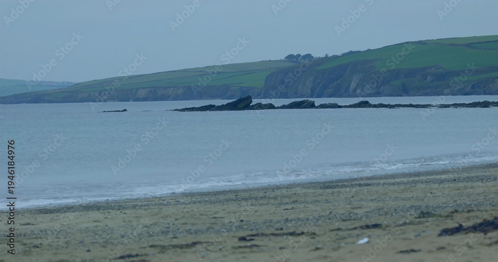 Obraz premium Showing sandy beach pebbles and seaweed, shallow waves lapping at coast, rocks, grassy cliffs