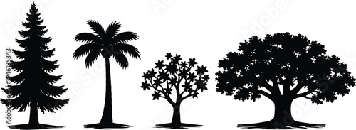 Collection, of, diverse, tree, silhouettes, including, pine, palm, flowering, and, broadleaf, species, isolated, on, white, background, botanical, vector, illustration, set