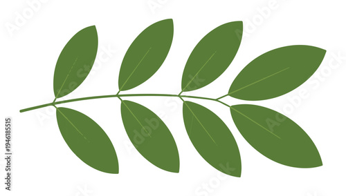 Flat vector illustration of green leaf branch featuring symmetric oval leaves on thin stem simple design