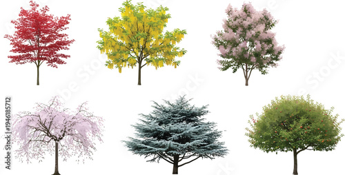 Diverse Tree Species Realistic Detailed Set for Architectural Landscaping Elements and Garden Design Vector Illustration