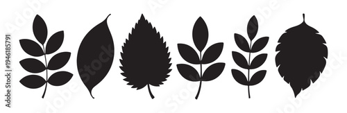 Set of black leaf silhouettes on white background collection of various tree foliage shapes vector design