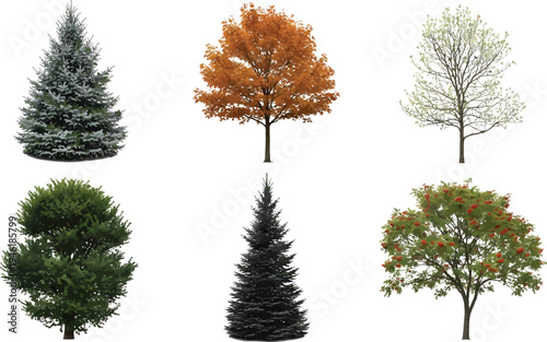 Detailed set of isolated trees including evergreen, deciduous, and seasonal varieties for landscape design projects. Vector Illustration.