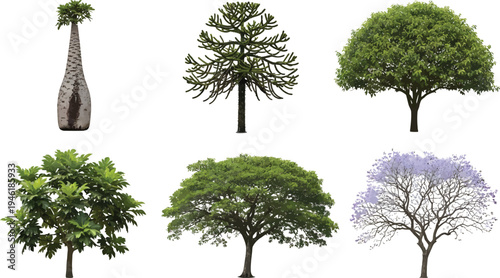 Diverse Tree Species Collection for Architectural Landscape Design and Nature Projects, Isolated Vector Illustration Set.