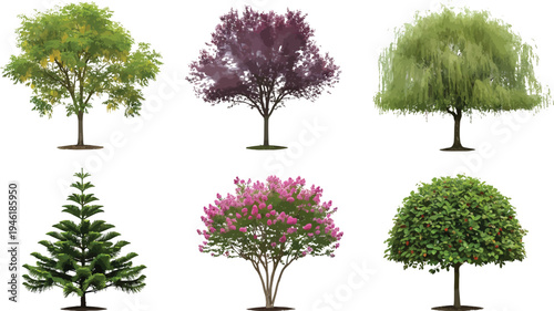 Diverse Tree and Shrub Collection for Landscape Design and Architectural Visualization Projects Vector Illustration Set.