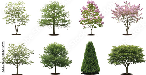 Diverse Tree and Shrub Collection Isolated Realistic Style for Architectural Landscape Design Vector Illustration Set