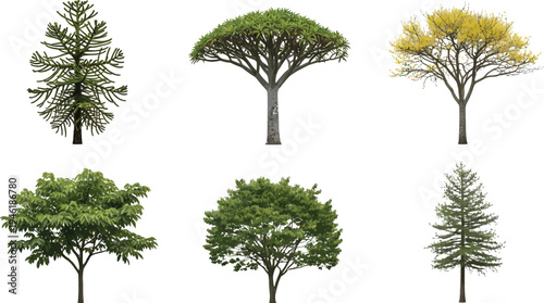 Diverse Trees Collection for Architectural Landscape Design and Environmental Graphics Isolated Vector Illustration Set.