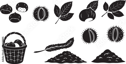 Black and white chestnut illustrations with leaves and basket
