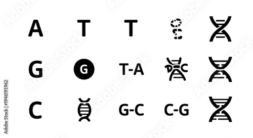 Minimalist icons of DNA components nucleotide bases A, T, G, C, and double helix structures for genetic and science education