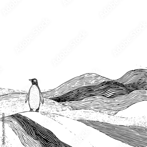 Lone penguin stands on snow covered hill looking out over undulating icy landscape with textured wavy lines suggesting wind or snow drifts minimalist black and white illustration